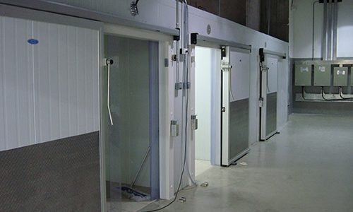Walkin Freezer (1)