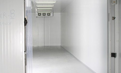 Walkin Freezer (2)